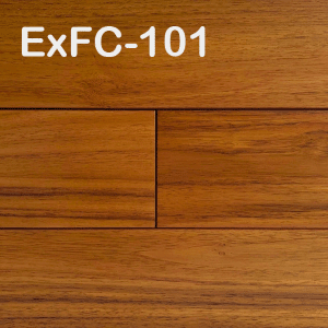 ExFC-101