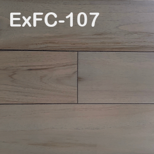 ExFC-107